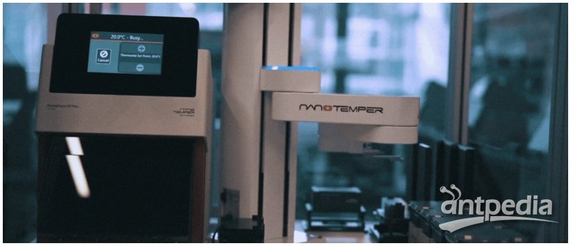 NanoTemper新品|PR Panta+機械臂自動上樣器通量高達1536個樣品