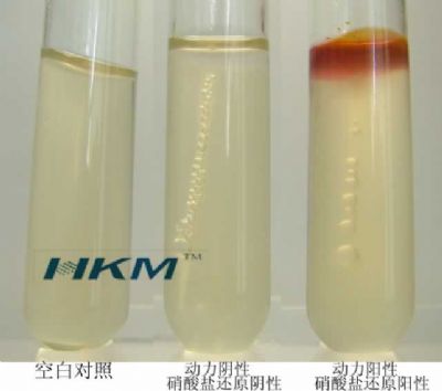 <em>动力</em>―硝酸盐培养基(A法)(Motility-NitrateReductionTestMedium)