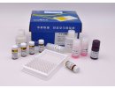 iElisa呋喃西林代谢物检测试剂盒