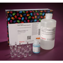 Pierce™ BCA 蛋白检测试剂盒 23227 500 mL