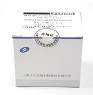 细小脲原体（UP）核酸测定试剂盒