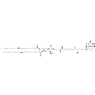 1,2-dioleoyl-sn-glycero-3-phosphoethanolamine-N-(cap biotinyl) (sodium salt