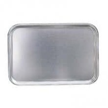 Cole-Parmer Stainless steel utility tray, 10