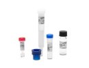 MO-L003 | BLUE-NHS 蛋白标记试剂盒（氨基标记--BLUE Channel）