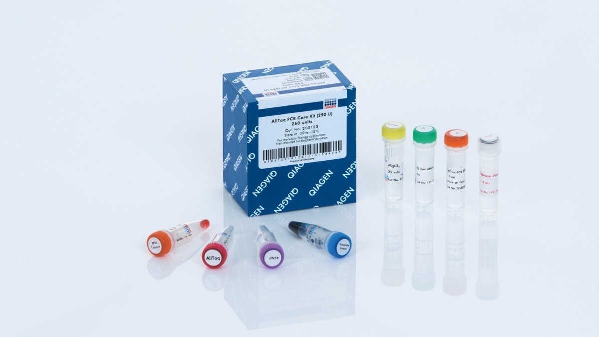QIAGEN AllTaq PCR Core Kit