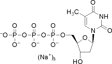 T807542-10mg 2'-脱氧<em>胸</em>苷-5'-三磷酸三钠盐,二水合物,97%