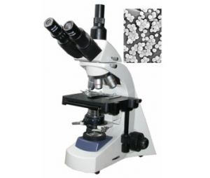 生物显微镜LW300-48LT