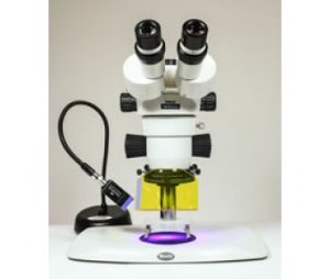  NIGHTSEA显微镜荧光适配器
