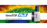 布鲁克 timsTOF fleX 组学和成像质谱系统 用于解析分子分布