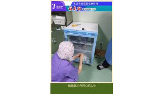 痰培养管标本检验中心（电热恒温培养箱）FYL-YS-100L