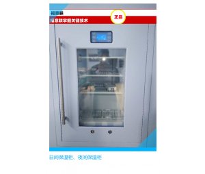 科研实验室用蛋白纯化仪低温冰箱 低温层析柜FYL-YS-1028L