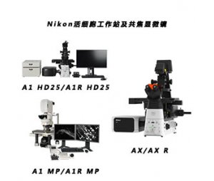Nikon活细胞工作站双光子及共焦显微镜