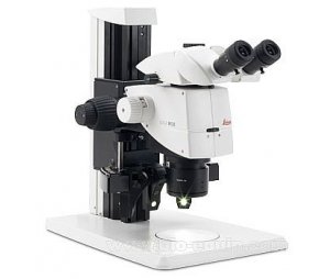 德国徕卡 体视显微镜 M125