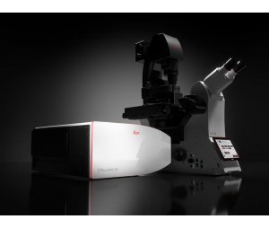 德国徕卡 共聚焦显微镜平台 STELLARIS 5 & STELLARIS 8
