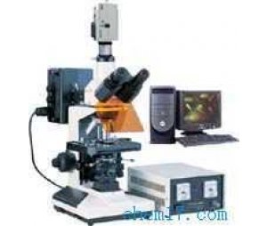 DFM-50荧光显微镜