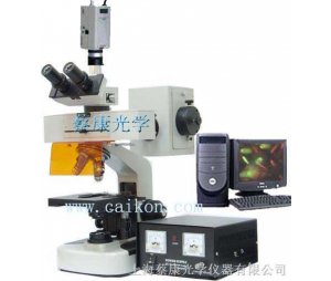 DFM-20C荧光显微镜