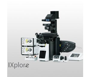奥林巴斯IXplore TIRF 全内反射影像显微镜系统