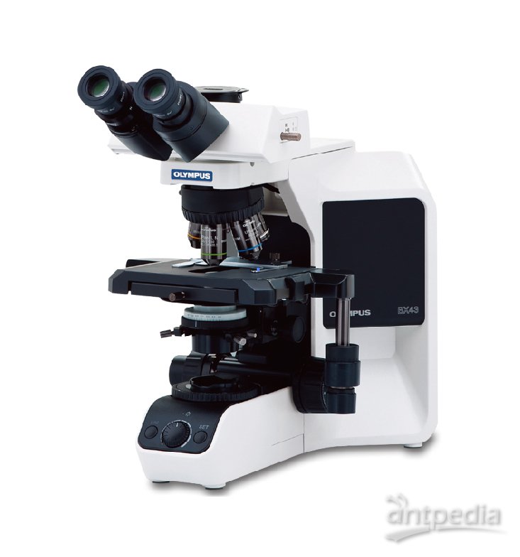 奥林巴斯 <em>BX</em>43 手动系统显微镜