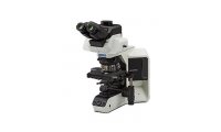 奥林巴斯 BX53-P 偏光显微镜