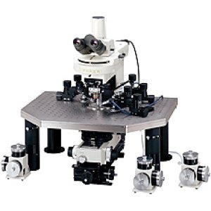 尼康FN1电生理显微镜