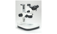 SZ810 三目体视显微镜