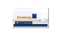 Ecosizer L+激光粒度仪