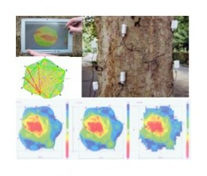 二维/三维脉冲树木探测仪
