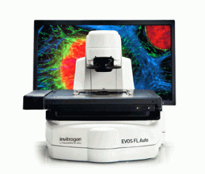 Invitrogen EVOS FL细胞荧光成像系统