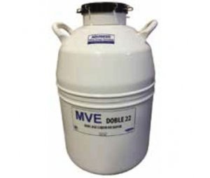 MVE液氮罐 样本运输存储罐