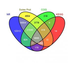 转录组测序（RNA-Seq）