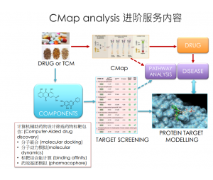 CMap药物开发平台
