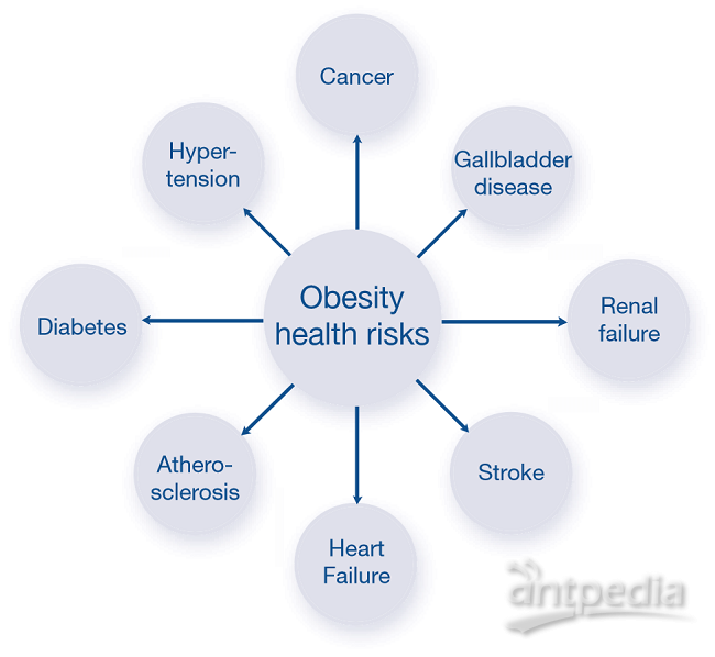 肥胖相关免疫因子检测