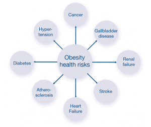 肥胖相关免疫因子检测