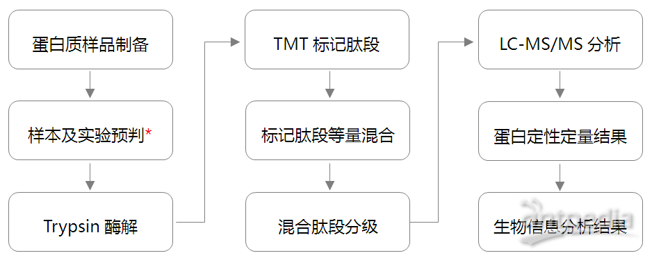 TMT (Tandem Mass Tag)蛋白质组定量