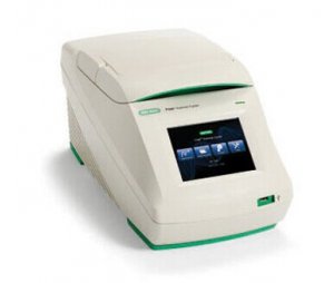 美国伯乐T100 PCR仪货号1861096