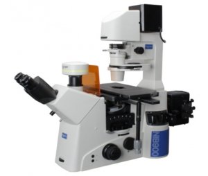 倒置荧光显微镜-广州明慧显微成像供应商