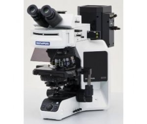 奥林巴斯BX53荧光显微镜