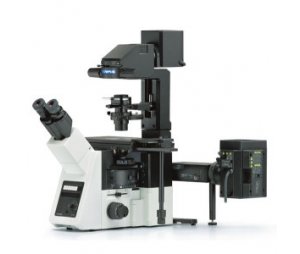 奥林巴斯研究级倒置显微镜ix73