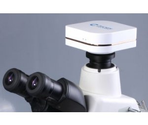 显微镜相机