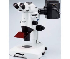 奥林巴斯体视显微镜SZX16
