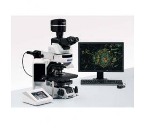  徕卡荧光显微镜DM2500