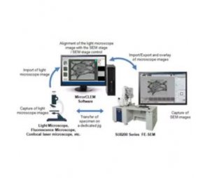  光-电联用显微镜法（CLEM）系统