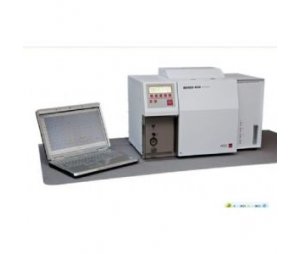 AGC600系列气相色谱仪-气相色谱分析仪