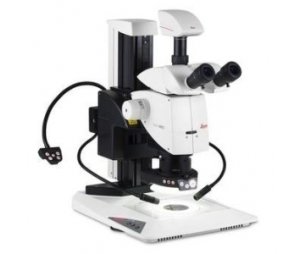 M205 C立体显微镜