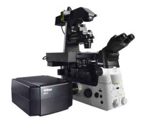 尼康 C2+ 共聚焦显微镜系统