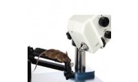 小动物视网膜影像系统，动物视网膜成像系统