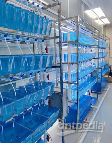 玉研仪器 斑马鱼饲养系统