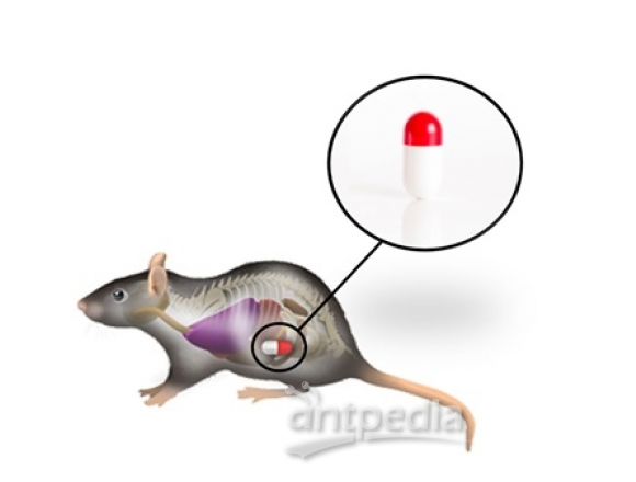 玉研仪器 Anipill®动物核心体温监测胶囊