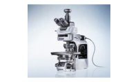 BX63 自动荧光显微镜