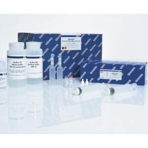 QIAGEN Plasmid Plus Kit<em>质粒</em>纯化试剂盒